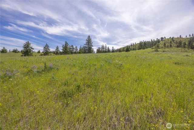23 Eagle Crest Rd, Chelan, WA 98816 - photo 28