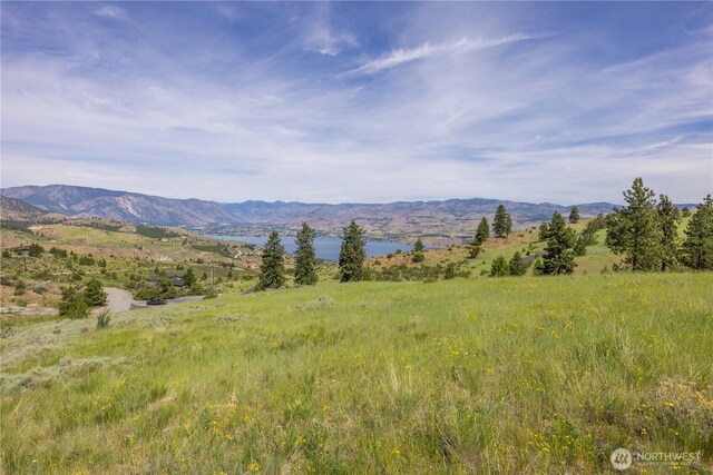 23 Eagle Crest Rd, Chelan, WA 98816 - photo 29