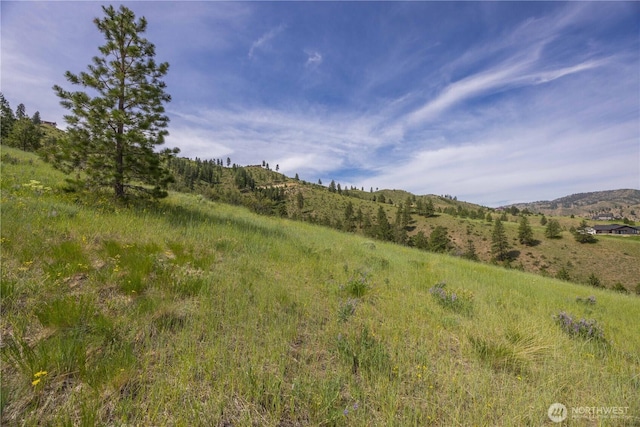 23 Eagle Crest Rd, Chelan, WA 98816 - photo 30