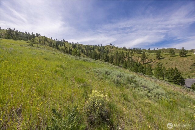 23 Eagle Crest Rd, Chelan, WA 98816 - photo 31