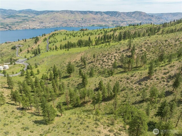 23 Eagle Crest Rd, Chelan, WA 98816 - photo 33