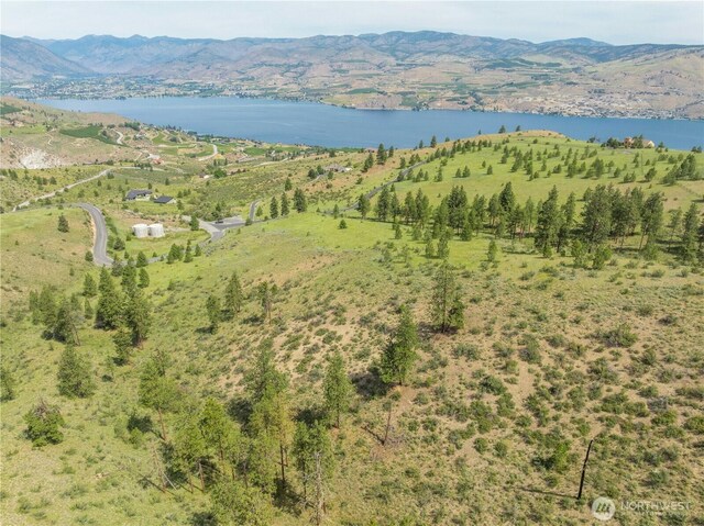 23 Eagle Crest Rd, Chelan, WA 98816 - photo 34