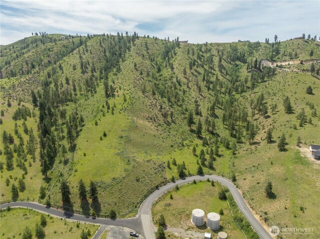 23 Eagle Crest Rd, Chelan, WA 98816 - photo 37