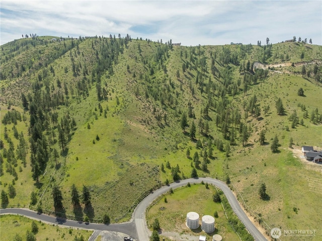 23 Eagle Crest Rd, Chelan, WA 98816 - photo 38
