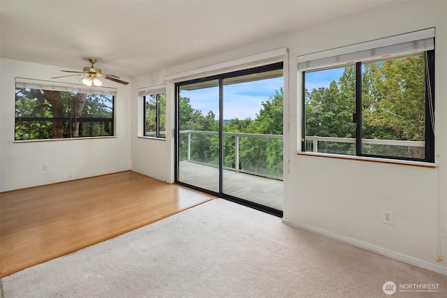 1604 11th Ave S Unit 201, Seattle, WA 98134 - photo 2