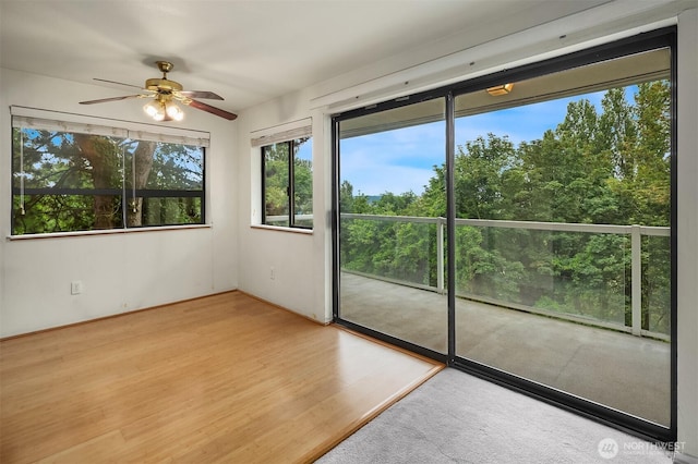 1604 11th Ave S Unit 201, Seattle, WA 98134 - photo 3