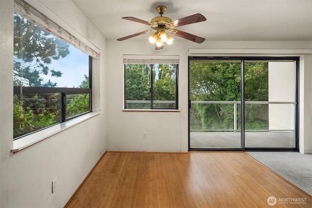 1604 11th Ave S Unit 201, Seattle, WA 98134 - photo 5