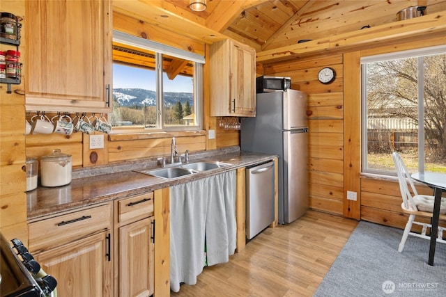 kitchen featuring wood walls, stainless steel appliances, lofted ceiling, and a sink