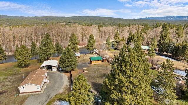 birds eye view of property with a mountain view and a forest view