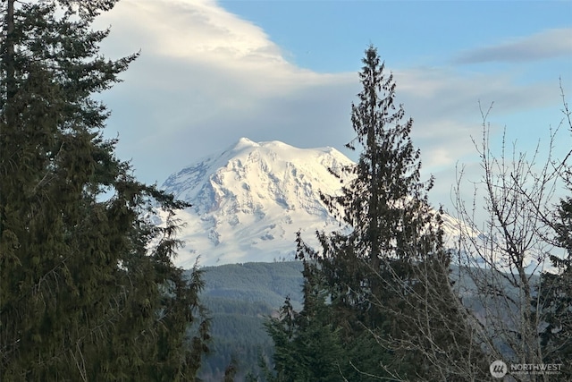 21401 161st Ave E, Graham, WA 98338 - view of mountain feature