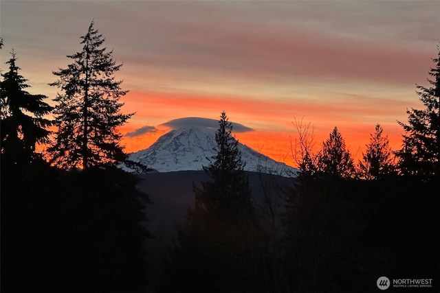 21401 161st Ave E, Graham, WA 98338 - view of mountain feature