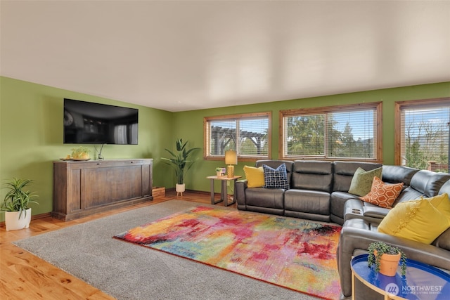 21401 161st Ave E, Graham, WA 98338 - living room with a wealth of natural light, baseboards, and wood finished floors
