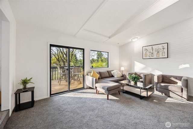 10231 Kiwa Dr SE, Olympia, WA 98513 - living room featuring carpet flooring and baseboards