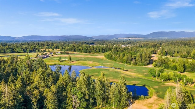 30427AVE SE 204th, Kent, WA 98042 - drone / aerial view of a water and mountain view