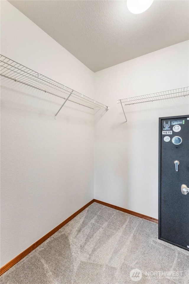 spacious closet featuring carpet