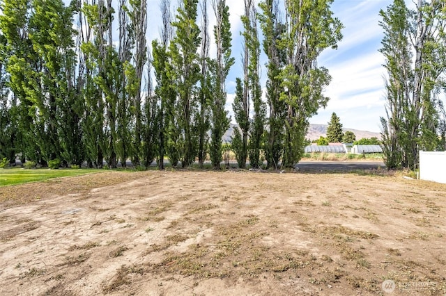 425 Pear Dr, Tieton, WA 98947 - view of yard