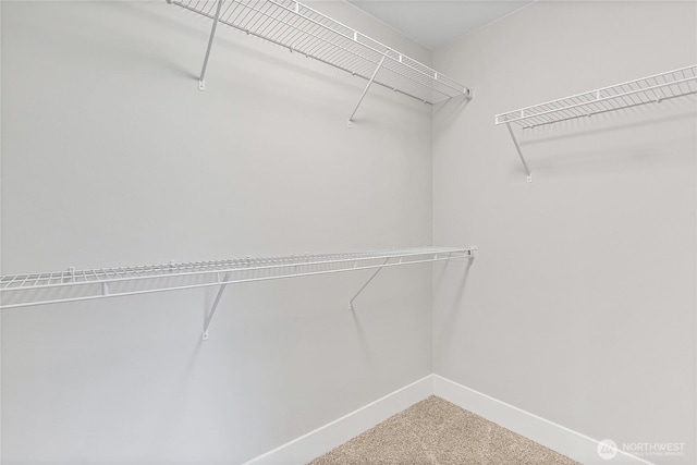 17318 74th Avenue Ct E, Puyallup, WA 98375 - spacious closet featuring carpet