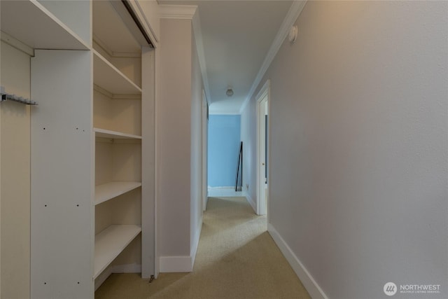 816 Washington St, Walla Walla, WA 99362 - hall with baseboards, ornamental molding, and light carpet