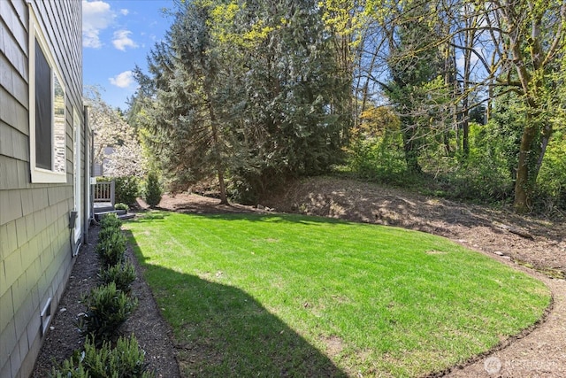 1825 112th Ave NE, Bellevue, WA 98004 - view of yard