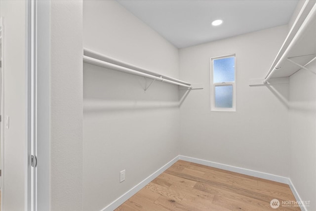 1825 112th Ave NE, Bellevue, WA 98004 - walk in closet with light wood finished floors