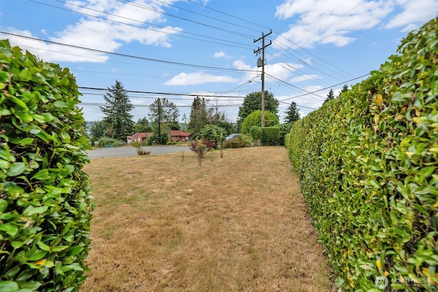 11110 Beacon Ave S, Seattle, WA 98178 - photo 30