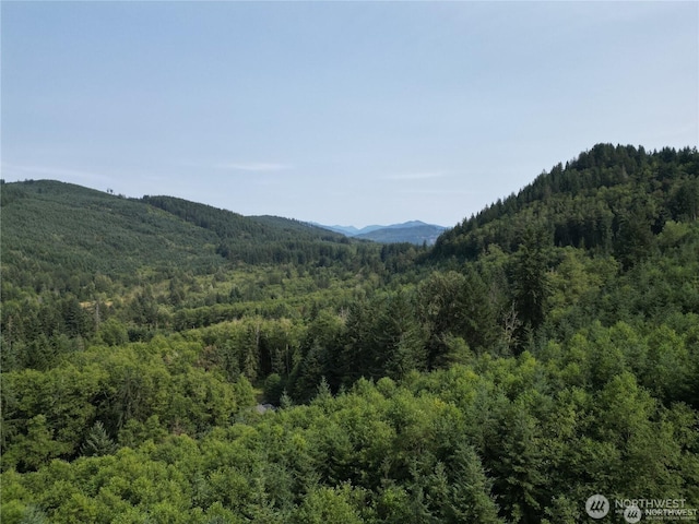 50113 146th Ave E, Eatonville, WA 98328