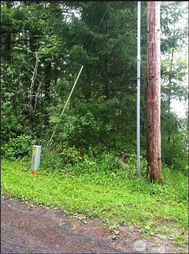 50113 146th Ave E, Eatonville, WA 98328
