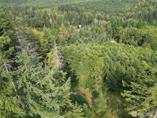 50113 146th Ave E, Eatonville, WA 98328
