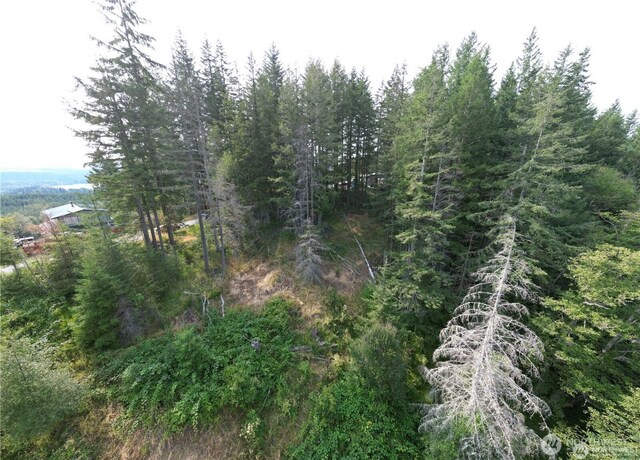 50113 146th Ave E, Eatonville, WA 98328