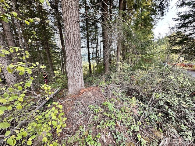 50113 146th Ave E, Eatonville, WA 98328