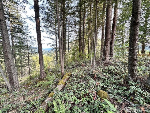 50113 146th Ave E, Eatonville, WA 98328