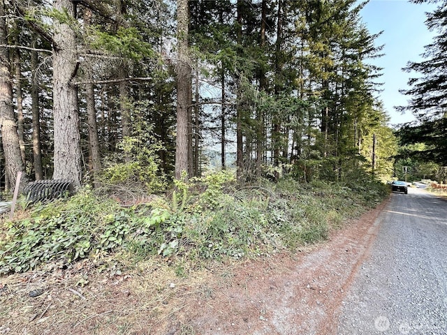 50113 146th Ave E, Eatonville, WA 98328