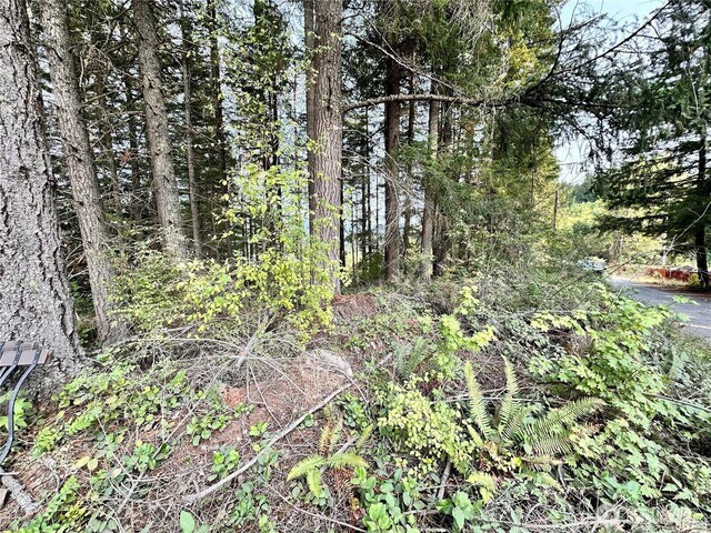 50113 146th Ave E, Eatonville, WA 98328