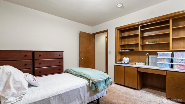 223 SE 10th St, College Place, WA 99324 - photo 16