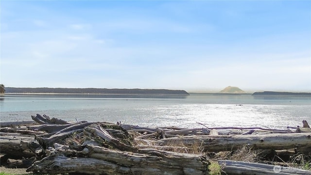 858 Livingston Bay Shore Dr, Camano Island, WA 98282 - water view