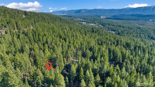 1300 Pineloch Sun Dr, Ronald, WA 98940 - photo 36