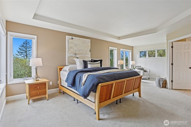 2070 277th Ave SE, Sammamish, WA 98075 - bedroom with a raised ceiling, light colored carpet, and baseboards