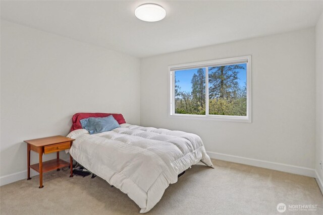 2070 277th Ave SE, Sammamish, WA 98075 - bedroom featuring light colored carpet and baseboards