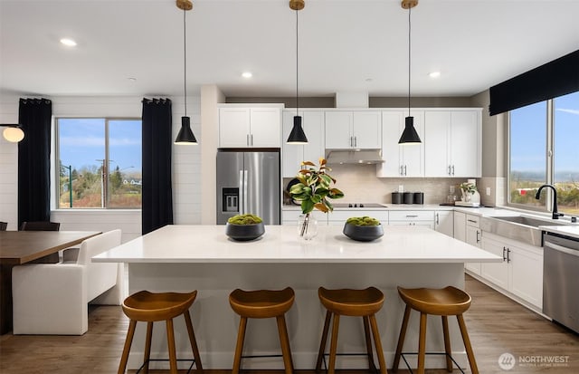 kitchen featuring under cabinet range hood, a sink, tasteful backsplash, wood finished floors, and appliances with stainless steel finishes