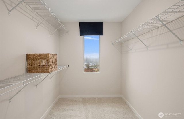 walk in closet featuring carpet