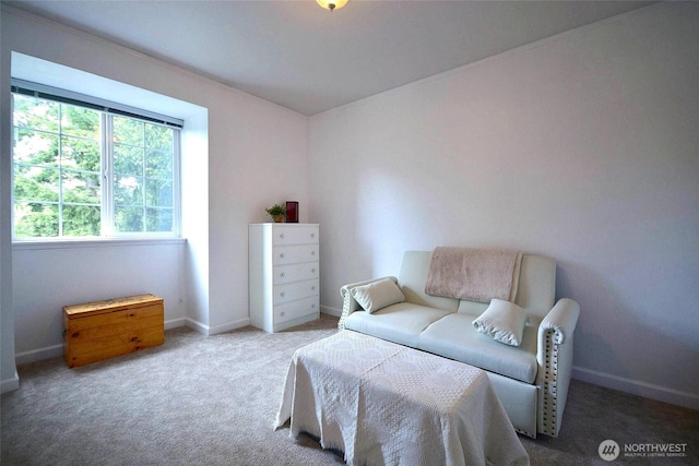 21901 N Clearlake Blvd SE, Yelm, WA 98597 - sitting room featuring carpet flooring and baseboards