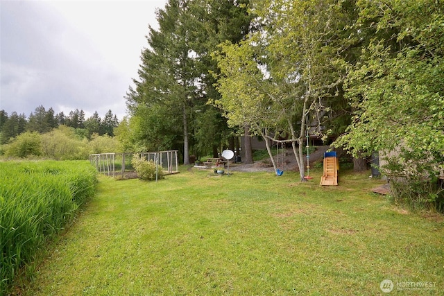 21901 N Clearlake Blvd SE, Yelm, WA 98597 - view of green lawn