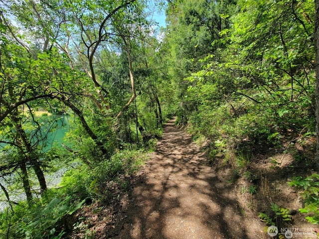21901 N Clearlake Blvd SE, Yelm, WA 98597 - view of road with a wooded view