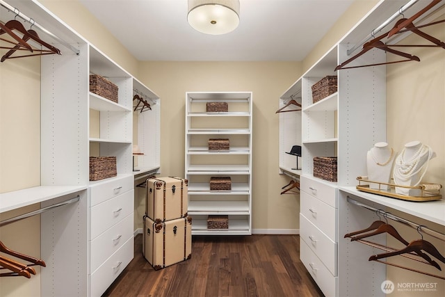 walk in closet with dark wood-type flooring