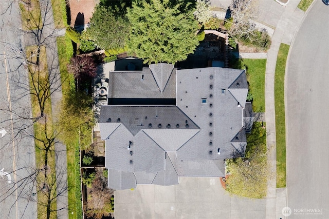 drone / aerial view