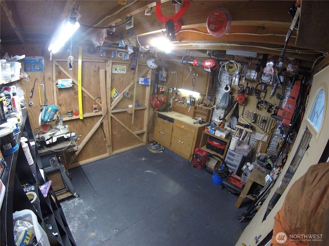 863 Chinook Way, Anacortes, WA 98221 - basement featuring a workshop area
