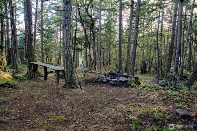 863 Chinook Way, Anacortes, WA 98221 - view of nature featuring a wooded view