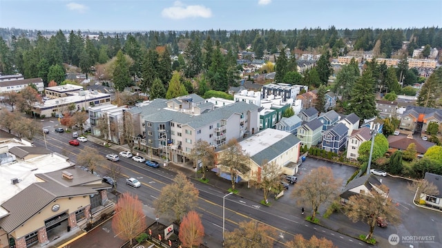 12327 15th Ave NE, Seattle, WA 98125 - photo 29
