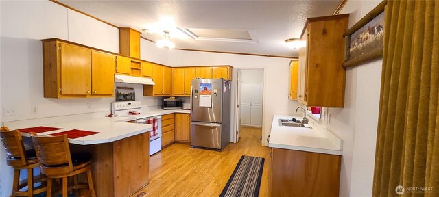 136 Mule Dr, Glenoma, WA 98336 - kitchen featuring under cabinet range hood, a sink, stainless steel appliances, a peninsula, and light wood finished floors