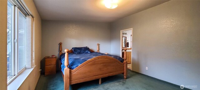 136 Mule Dr, Glenoma, WA 98336 - view of carpeted bedroom